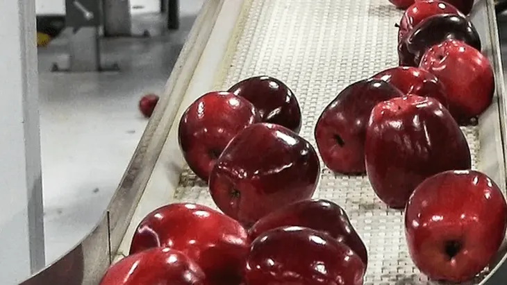 El ingreso de bins con manzanas chilenas a galpones de empaque del Alto Valle encendió la alarma entre productores, que reclaman medidas urgentes al Gobierno nacional. El ingreso de bins con manzanas chilenas a galpones de empaque del Alto Valle encendió la alarma entre productores, que reclaman medidas urgentes al Gobierno nacional.