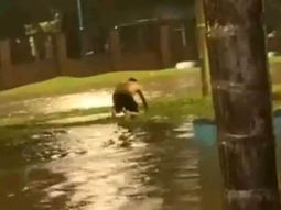 El papá del nene de 12 años camina desconsolado al enterarse de la triste noticia que dejó el temporal en Tucumán. El papá del nene de 12 años camina desconsolado al enterarse de la triste noticia que dejó el temporal en Tucumán.