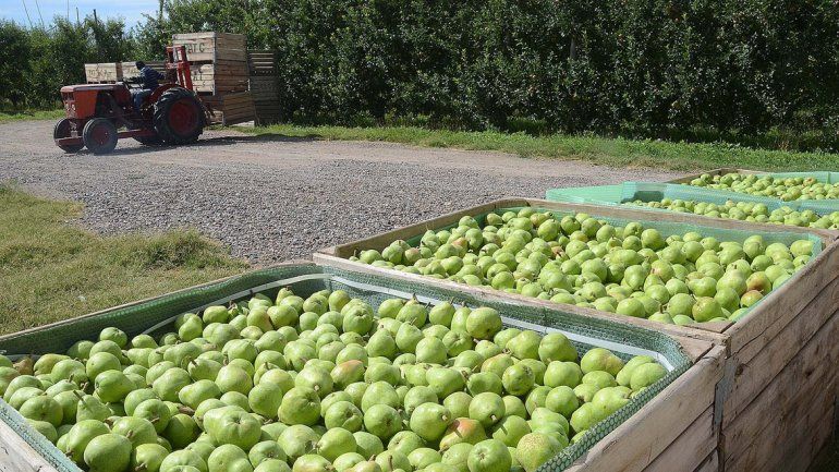 Los chacareros necesitan esos recursos para poder pagar la cosecha.