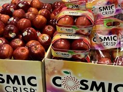 Aumentan las promociones de manzanas en Estados Unidos para acelerar las ventas.
