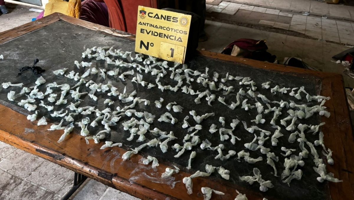 El presunto kiosco narco funcionaba en Centenario / Foto