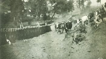Arreo de ganado en la zona rural de actual barrio Puerto Manzano. Fuente Archivo Visual Patagónico.jpg