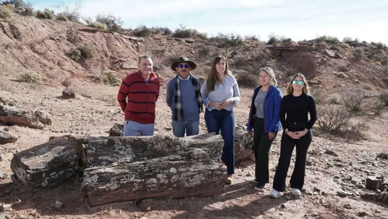 Bosque petrificado: El Sauce busca darle impulso turístico