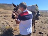 Un veterinario solidario en la trashumancia: su misión de ayudar a los animales