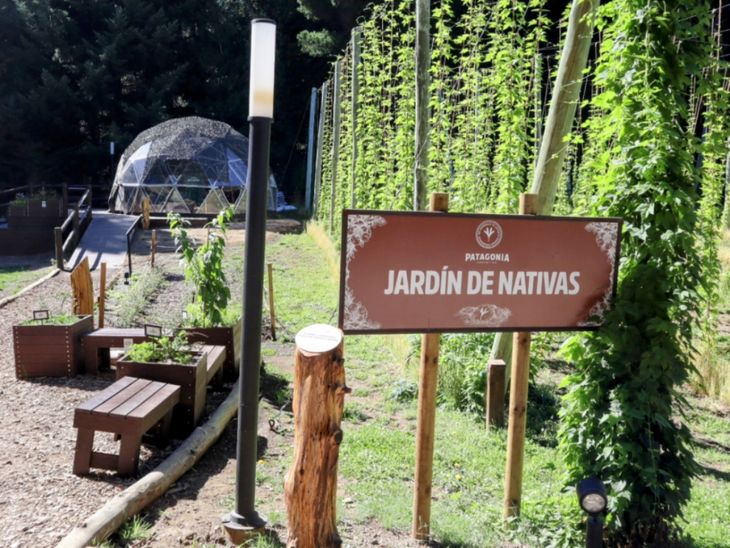 El hermoso jardín de nativas de Cervecería Patagonia. Foto: gentileza.