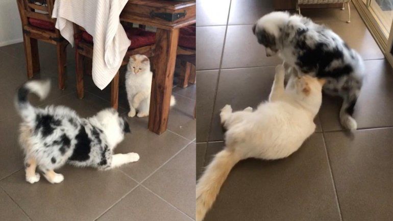 Este duo no deja de sumar reproducciones en YouTube