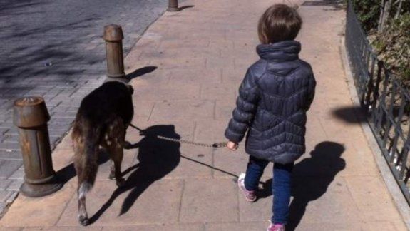 Un nene en Ecuador le pone barbijo a su perro.