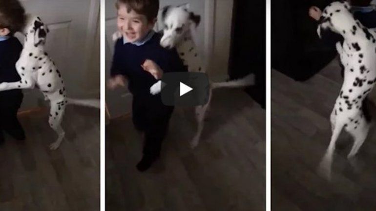 El video viral no deja de sumar reproducciones en YouTube