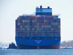 Más de 5 millones de cajas fueron destruidas tras un retraso fatal en plena ruta hacia China.La carga llegó en mal estado y terminó descartada, desatando uno de los mayores golpes al sector frutícola. Más de 5 millones de cajas fueron destruidas tras un retraso fatal en plena ruta hacia China.La carga llegó en mal estado y terminó descartada, desatando uno de los mayores golpes al sector frutícola.