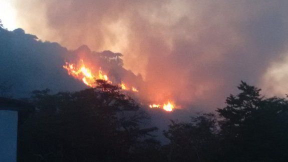 El fuego afectó 20 hectáreas del bosque de Moquehue