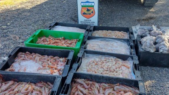 Secuestraron 180 kilos de mariscos que venían al Valle