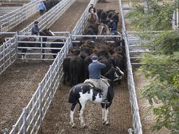 El mercado de Cañuelas, un referente de precios ganaderos para todo el país. El mercado de Cañuelas, un referente de precios ganaderos para todo el país.