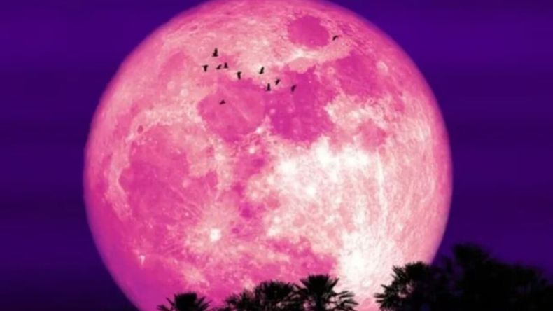 La Luna de Fresa es la primera Luna Llena del año y está cargada de simbolismo. | LM Neuquen La Luna de Fresa es la primera Luna Llena del año y está cargada de simbolismo.