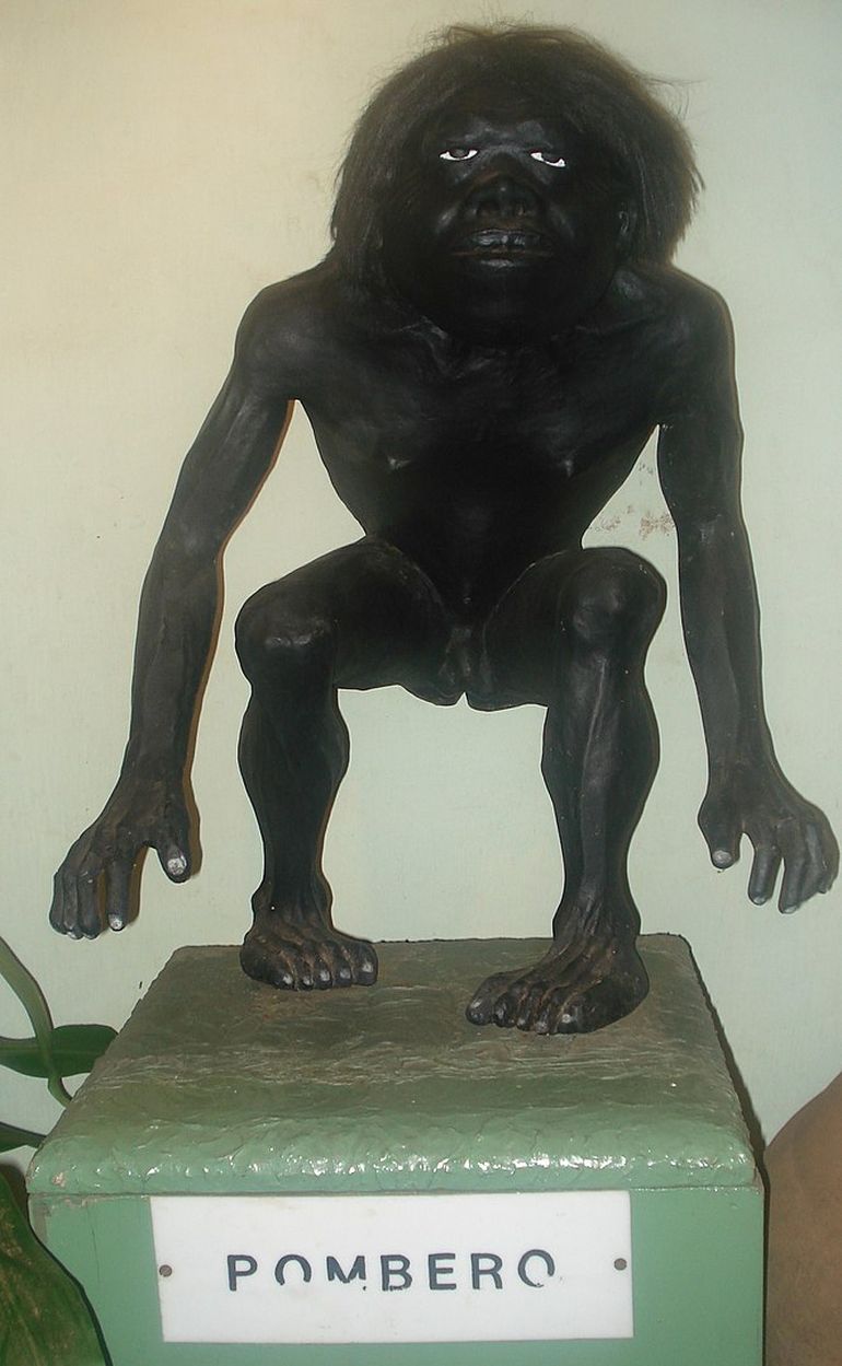 El imaginario del Pombero lo señala como un ser ambivalente. El imaginario del Pombero lo señala como un ser ambivalente.