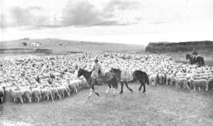 Desde Punta Arenas hasta Tierra del Fuego, la trama de poder que unió ganadería, comercio y logística en la Patagonia. Desde Punta Arenas hasta Tierra del Fuego, la trama de poder que unió ganadería, comercio y logística en la Patagonia.