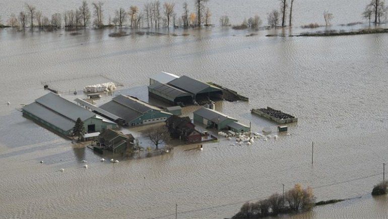 Canadá: declaran el estado de emergencia en la Columbia Británica
