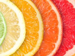 La industria sudafricana desplazó a España del primer puesto tras un año marcado por récords de exportación y una creciente demanda internacional de fruta fresca. La industria sudafricana desplazó a España del primer puesto tras un año marcado por récords de exportación y una creciente demanda internacional de fruta fresca.
