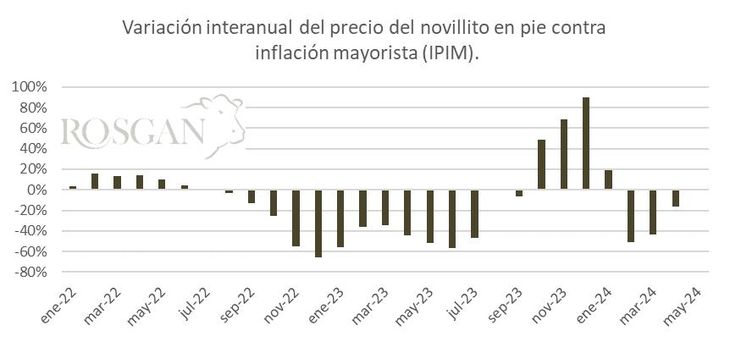 Diferencia entre la variación interanual del precio promedio para la categoría Novillito contra la tasa de inflación mayorista (IPIM), en base a datos del MAG e INDEC. Diferencia entre la variación interanual del precio promedio para la categoría Novillito contra la tasa de inflación mayorista (IPIM), en base a datos del MAG e INDEC.