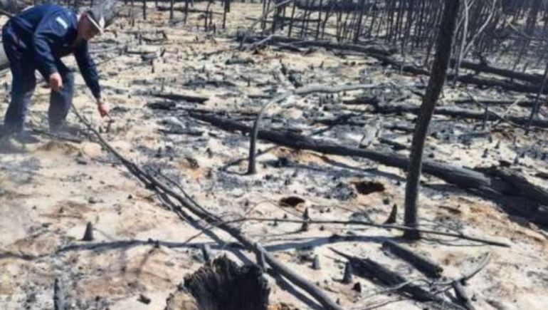 El lugar donde se habría iniciado el incendio en Puerto Patriada.