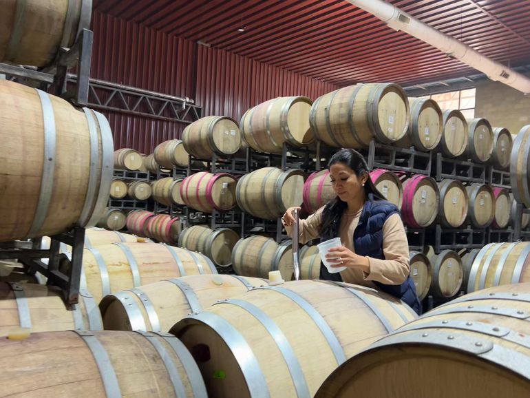 María Belén probando desde las barricas de la bodega los diferentes cortes. María Belén probando desde las barricas de la bodega los diferentes cortes.