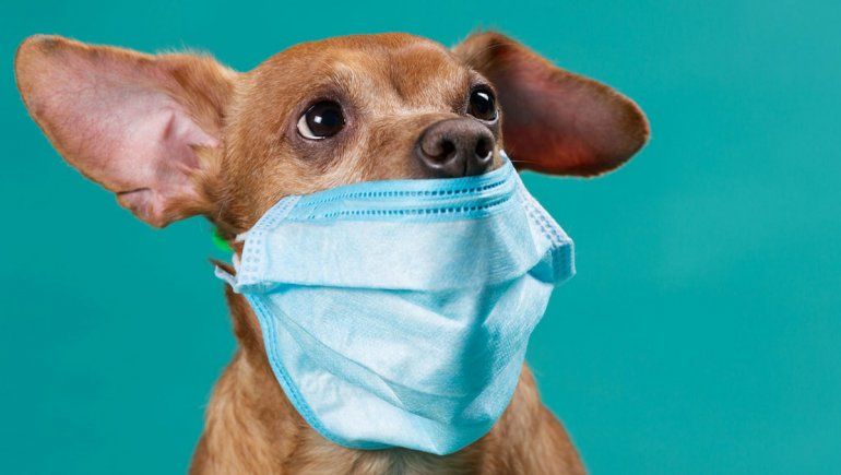 La importancia de ingresar limpios al hogar después de cada salida