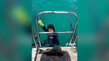Impactante video: un nene es atacado por un tiburón