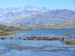Hay tiempo hasta el 19 de julio. Foto: gentileza Hay tiempo hasta el 19 de julio. Foto: gentileza