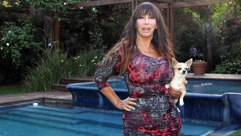 Debajo de la camiseta tendrían que llevar una con el signo euro