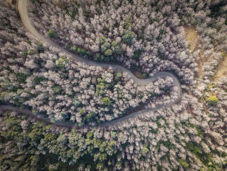 Yuco, el atractivo paraíso cerca de San Martín de los Andes que también se vive en invierno