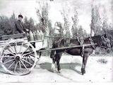 Francisco Gracia Santolaria en su carro lechero Gentileza Graciela Mariana Gracia