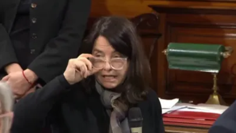 Álvarez Rivero subrayó que la atención de salud corresponde a las provincias y cuestionó la centralidad del Garrahan.