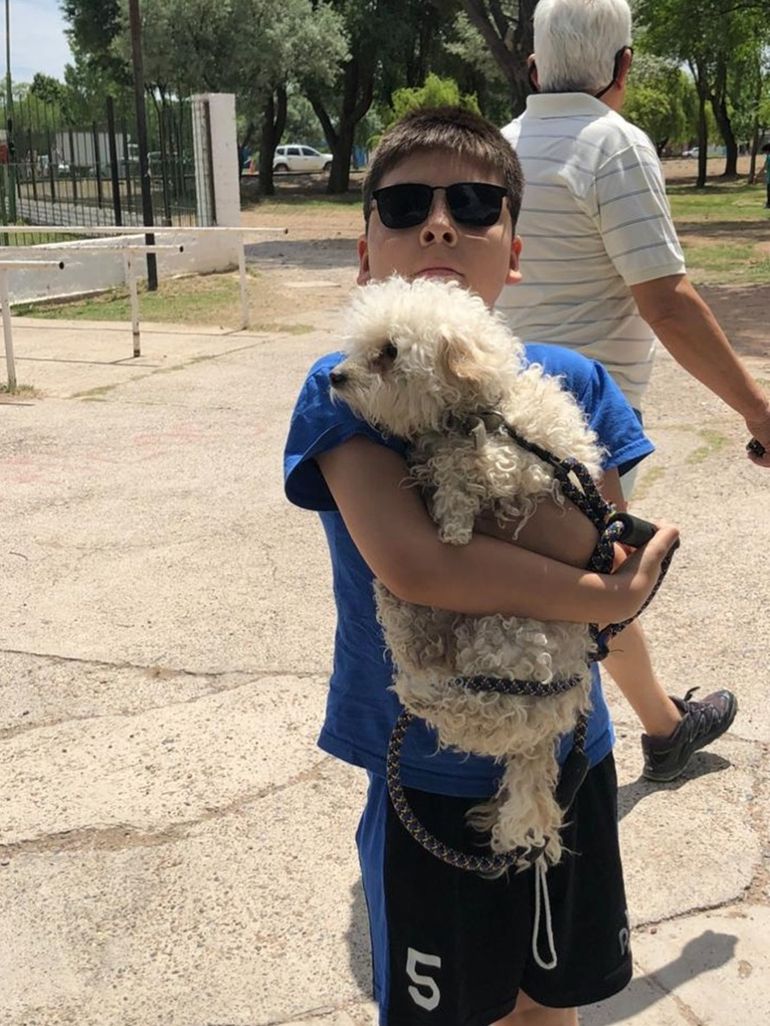 Es la mascota del adolescente desde niño. Es la mascota del adolescente desde niño.