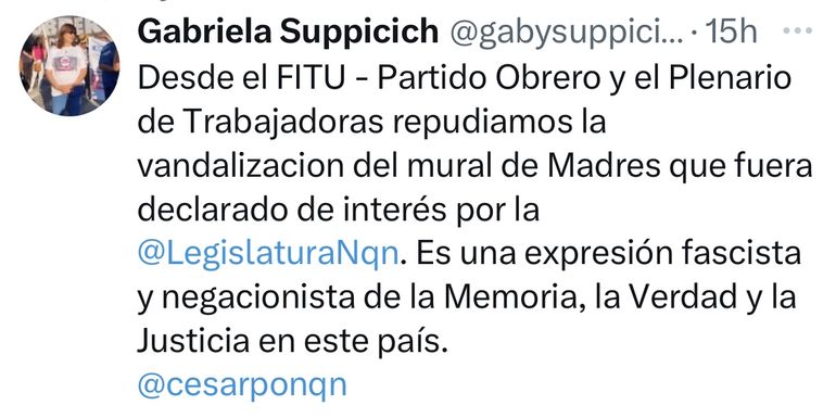 La diputada provincial por el FITU, Gabriela Suppicich se refrió al acceionar de los vándalos sobre el mural. La diputada provincial por el FITU, Gabriela Suppicich se refrió al acceionar de los vándalos sobre el mural.
