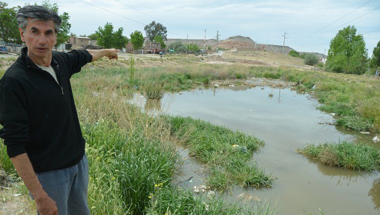 Las ratas invaden Gran Neuquén y nadie hace nada