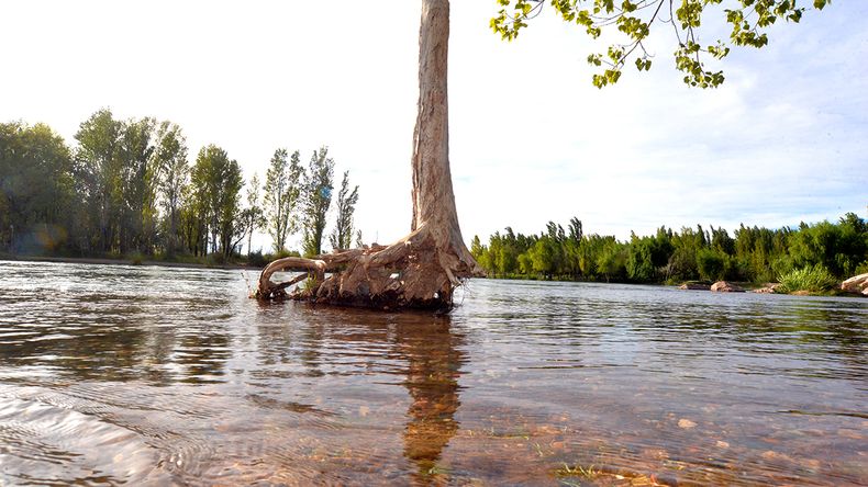 En 11 fotos: cómo están los ríos con la crecida en Neuquén