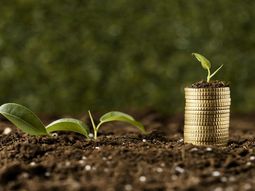 impulsan un nuevo rigi para el campo y sus industrias impulsan un nuevo rigi para el campo y sus industrias