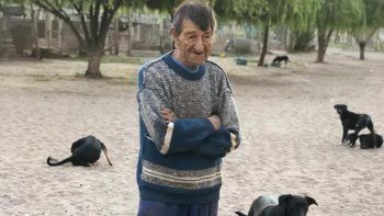 preocupa el estado de los mas de 500 perros del refugio preocupa el estado de los mas de 500 perros del refugio