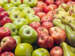 costos vs. ingresos, una ecuacion que (a veces) no cierra costos vs. ingresos, una ecuacion que (a veces) no cierra