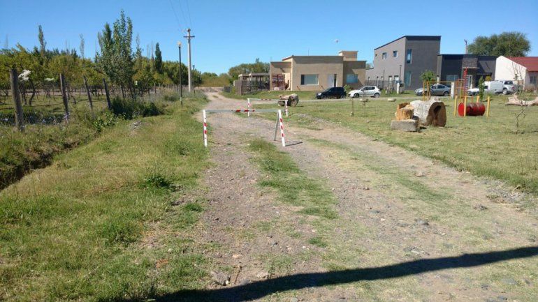 Preocupación en un barrio por envenenamiento masivo de perros y gatos