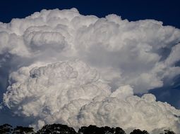 fuerte tormenta con granizo afecto cultivos en el alto valle de rio negro fuerte tormenta con granizo afecto cultivos en el alto valle de rio negro