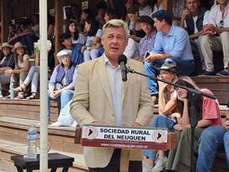 Nicolás Pino compartió su visión del presente del país y del sector. Foto: gentileza SRN. Nicolás Pino compartió su visión del presente del país y del sector. Foto: gentileza SRN.