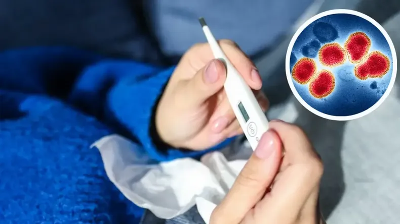 El virus de influenza A variante K es más contagioso, pero no representa un peligro. | LM Neuquen El virus de influenza A variante K es más contagioso, pero no representa un peligro.