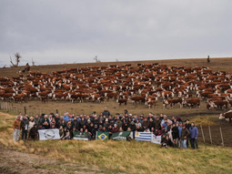 Más de 100 criadores recorren establecimientos top de Neuquén en la Gira Hereford 2026. Foto: Zona Campo Más de 100 criadores recorren establecimientos top de Neuquén en la Gira Hereford 2026. Foto: Zona Campo