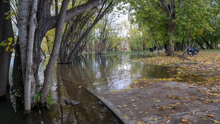 La última crecida del Limay, en mayo de esta año.