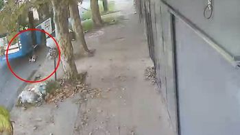 Tras el accidente, la madre del neneresponsabiliza al chofer del colectivo. Tras el accidente, la madre del neneresponsabiliza al chofer del colectivo.