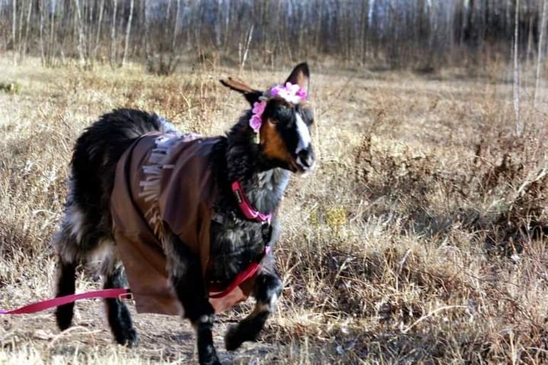 Gentileza @lidereseventosnqn