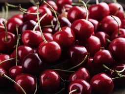 Estados Unidos tiene la cuota más importante sobre las importaciones de cerezas de Japón. Estados Unidos tiene la cuota más importante sobre las importaciones de cerezas de Japón.