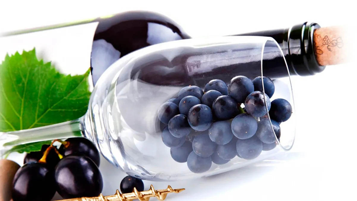 Mundo nerd: el vino y los conocimientos que mueve