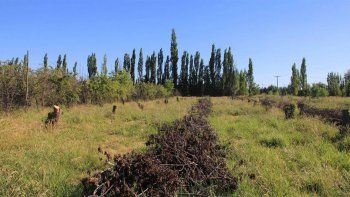 casi 5 mil cipolenos solicitaron un terreno para tener su casa casi 5 mil cipolenos solicitaron un terreno para tener su casa
