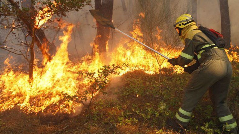 Detuvieron a una mujer de 74 años por los incendios en Galicia
